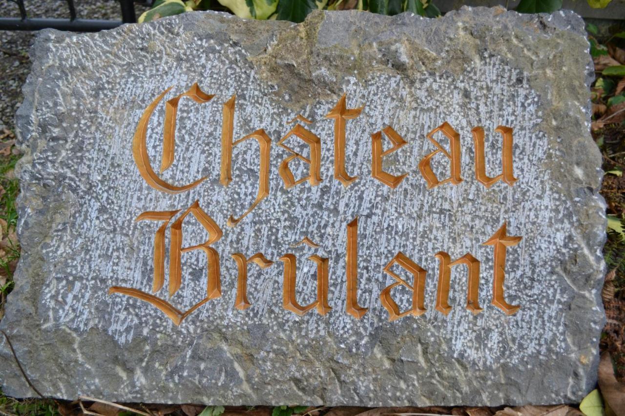 Chateau Brulant Somme-Leuze Екстериор снимка